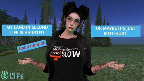 Second Life, Internet and Butt-hurt Problems.