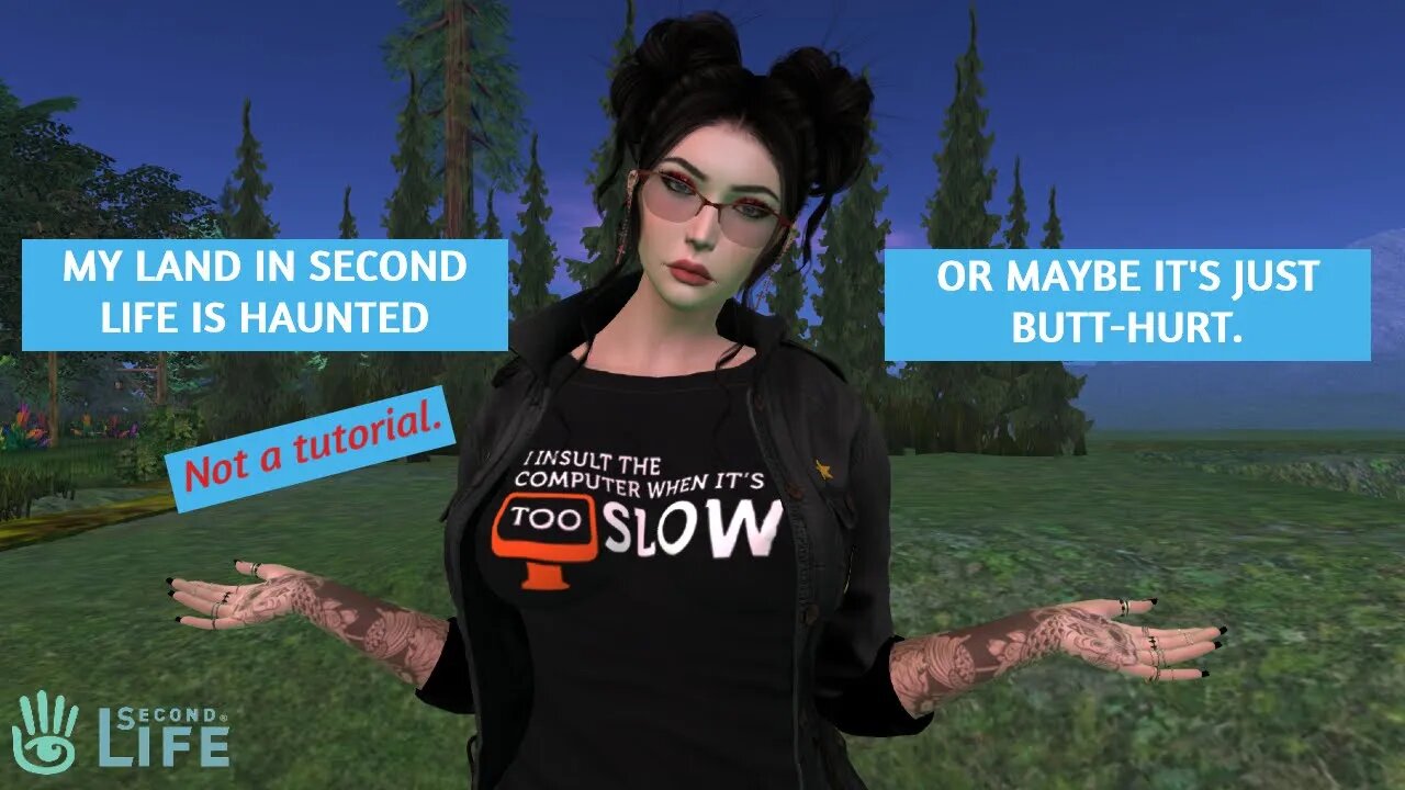 Second Life, Internet and Butt-hurt Problems.