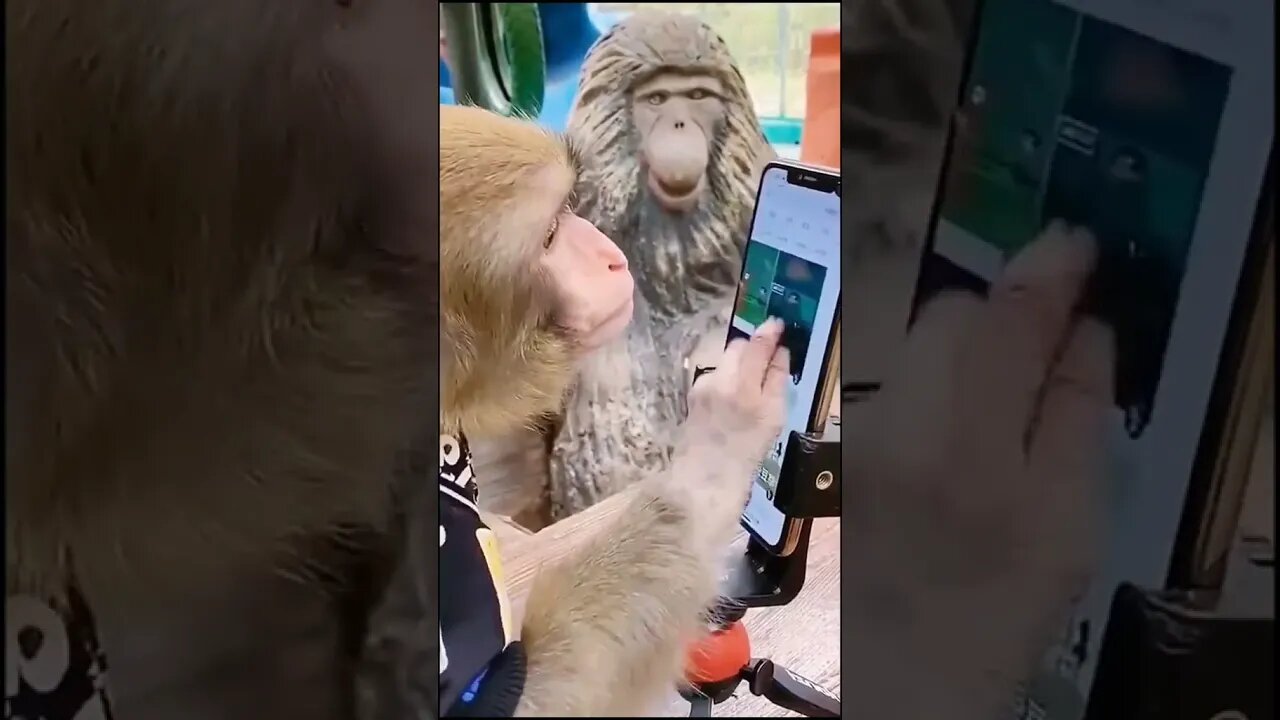 Most Amazing and trending video||relaxing your mind||trendig videos|| #shorts #trending #viral #live