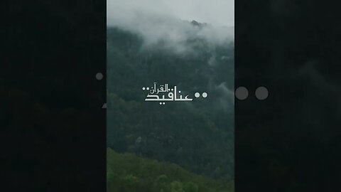 سورة الزمر -(٤١,٤٢) قارئ الشيخ عبد الرحمن البيتي #quran #viral #shorts