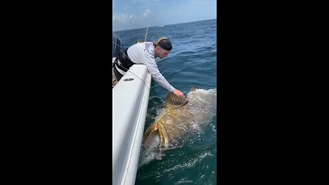 I’m telling y’all, this is why I STAY OUT OF THE OCEAN