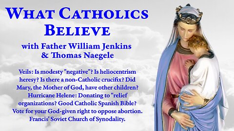 Negative modesty? Heliocentric heresy? Christ's siblings? Vote for good! Francis' Soviet Church.