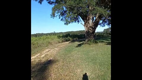 The October Surprise is Not so Surprising 🤨