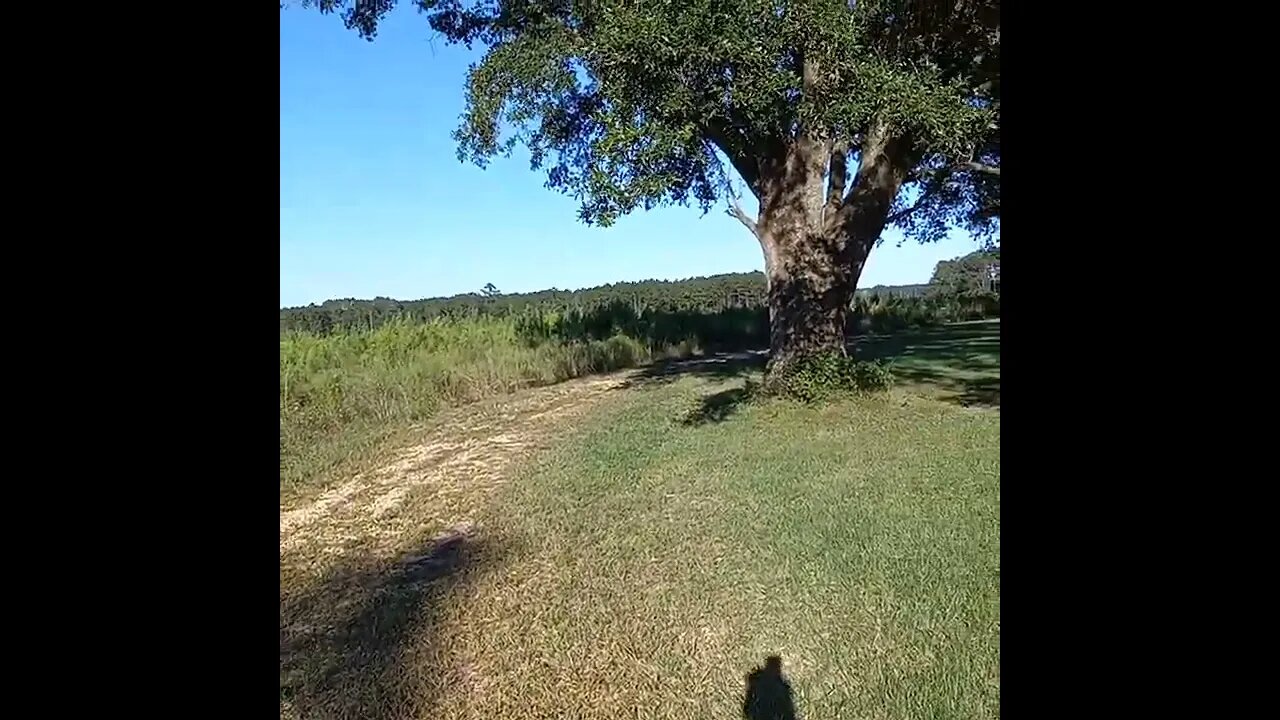 The October Surprise is Not so Surprising 🤨