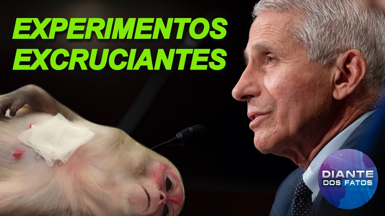 Fauci envolvido com experimentos excruciantes em macacos?; Ômicron: ainda é cedo para conclusões