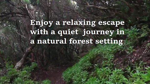 Relaxing, sleep calm, chill out, study, meditation, soothing music.