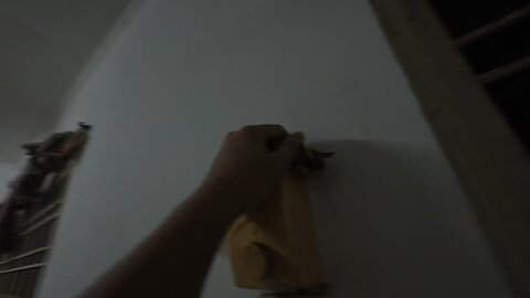 Sugarglider flying