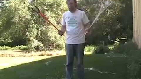 Peacock feathers #15