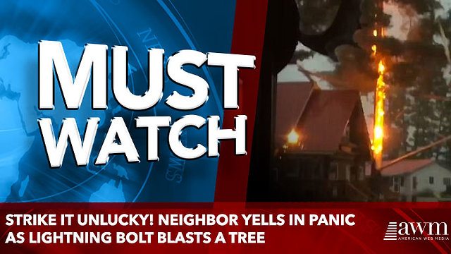 Strike it unlucky! Neighbor yells in panic as lightning bolt blasts a tree