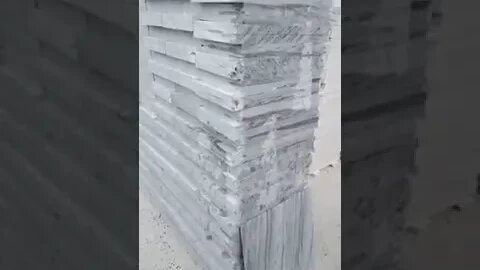 Sunny gray line wala #shorts