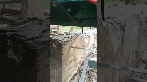 Sawmilling 😎 Follow us on IG https://instagram.com/waywardcajunfarms?igshid=ZDdkNTZiNTM= #diy #farm