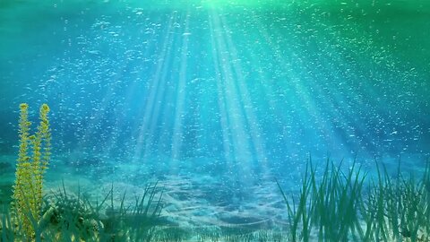 {ASMR} Aquarium Fish Tank Water- 1 Hour 1080p HD Tingle Sounds For Sleep Relax Study (NO TALKING)