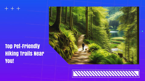 Discover the Key to Hassle-Free Hiking with Your Pets: ISF Filing Made Easy