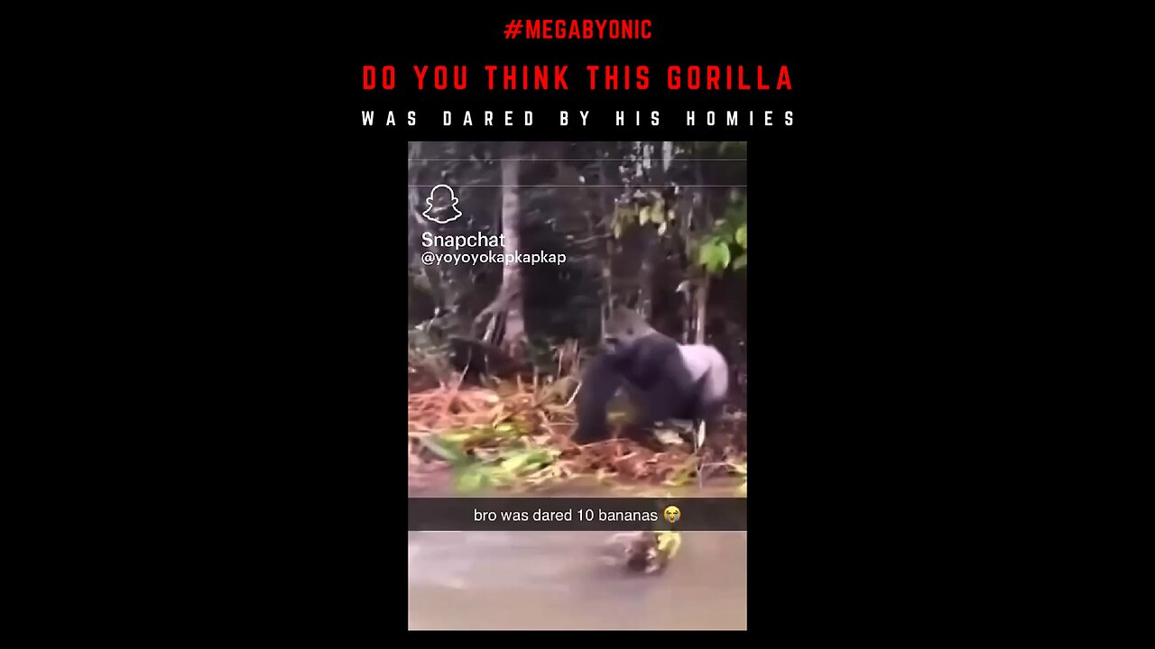 Gorilla Gone Wild #gorilla #gorillaz #gorillaattack #funnyanimals #fypシ #parati #joeroganpodcast
