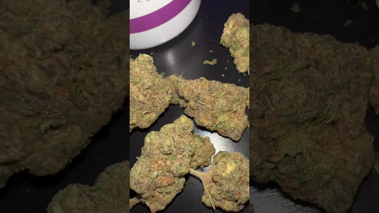 Farm Gas & Sorbet UK Medical Weed
