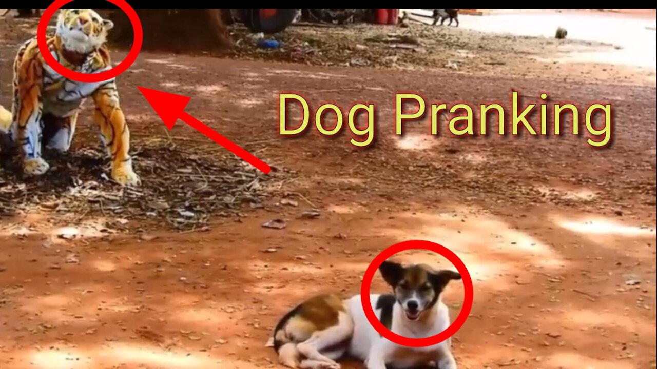 Digital show | Funny Video digital Song