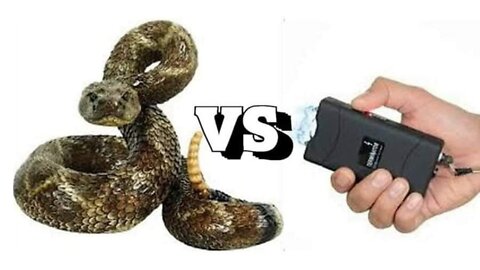 Did You Know That Electricity Can Neutralize Almost Any Poison Bite?