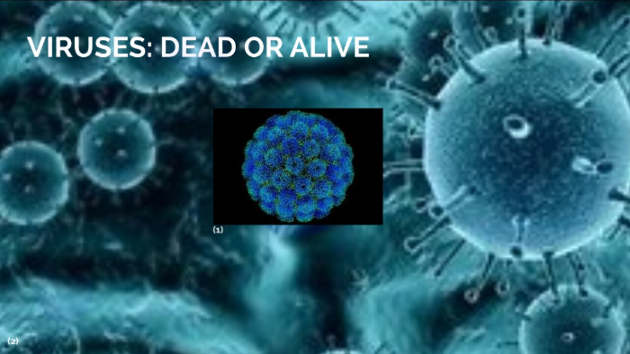 WHAT IF EVERYTHING YOU HAVE BEEN TAUGHT IS BASED ON LIES??? VIRUSES-DEAD? ALIVE OR AI REPLICANTS?*