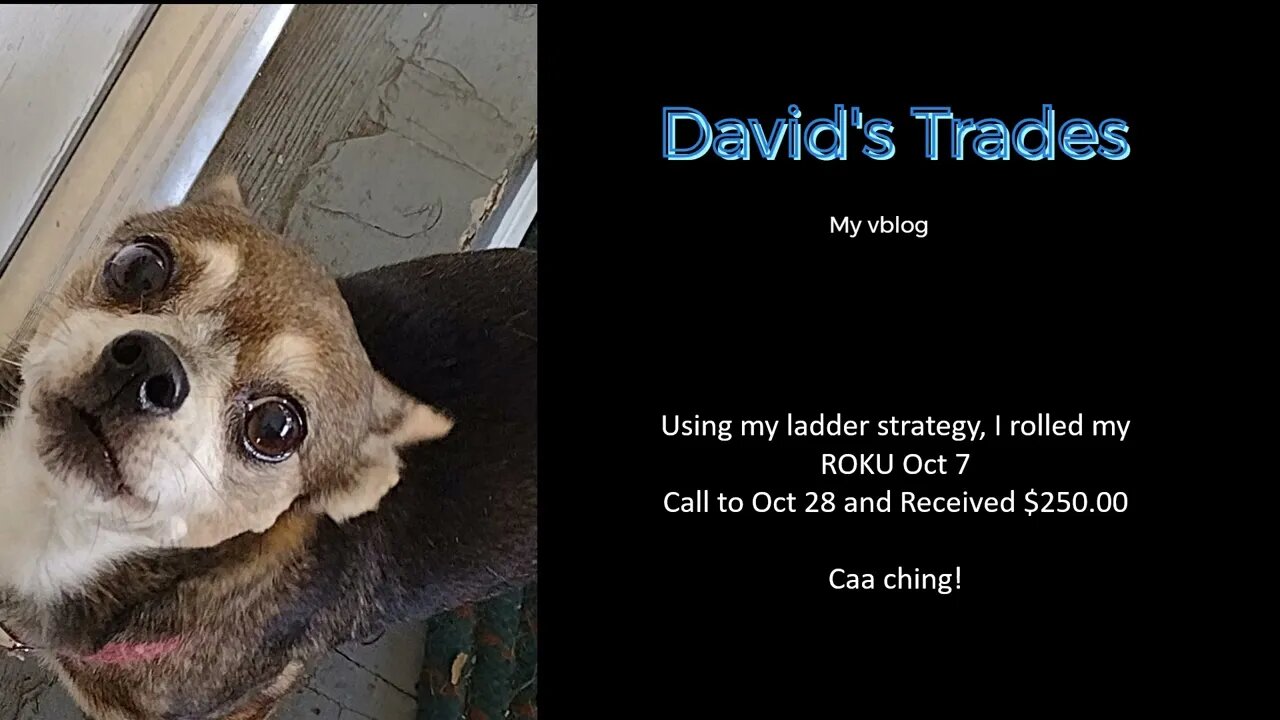 LADDER Strategy. Rolled ROKU, received $250.00 Premium.