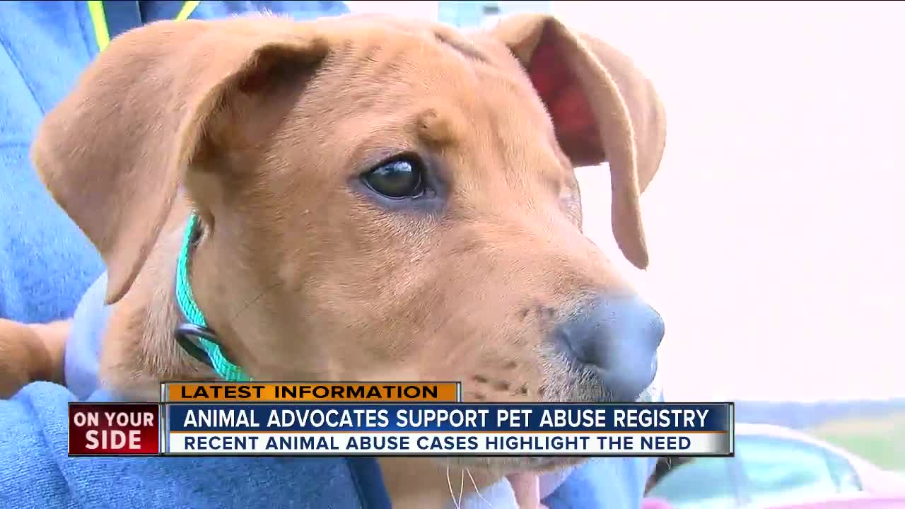 Animal advocates support pet abuse registry