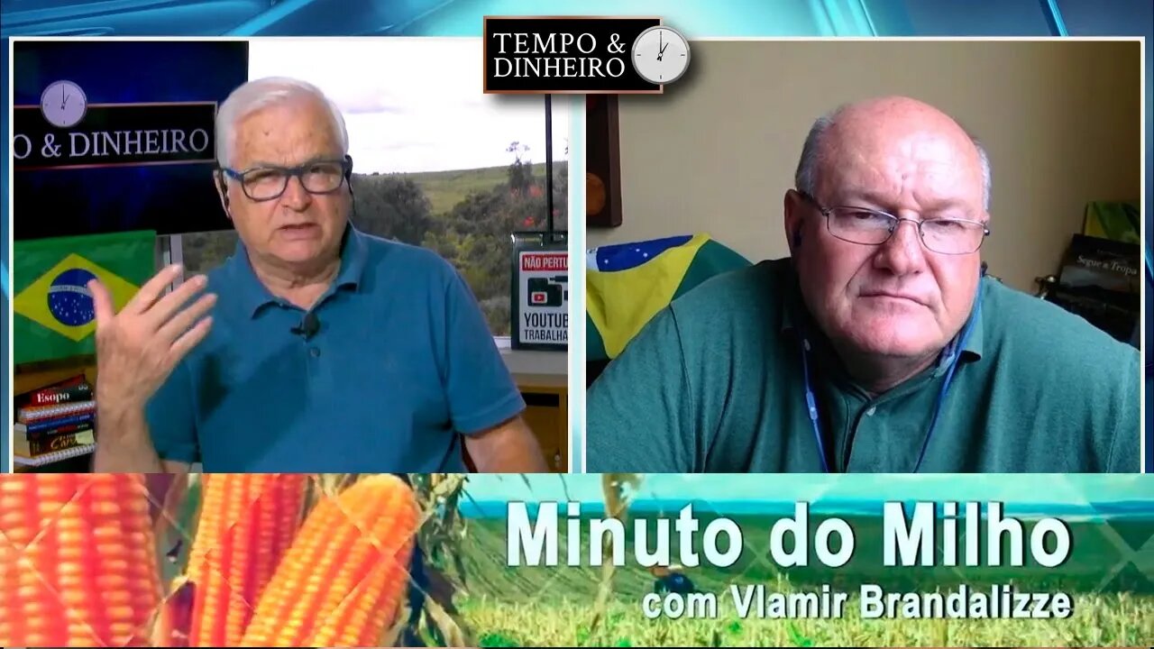 Milho batendo recorde de exportações