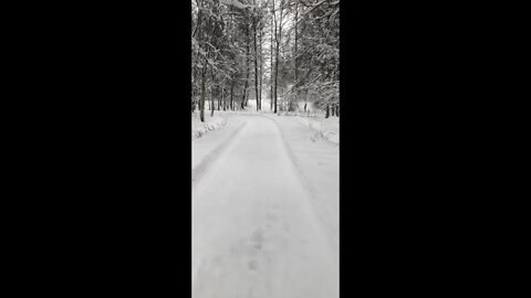 Anchorage Trail walk in winter
