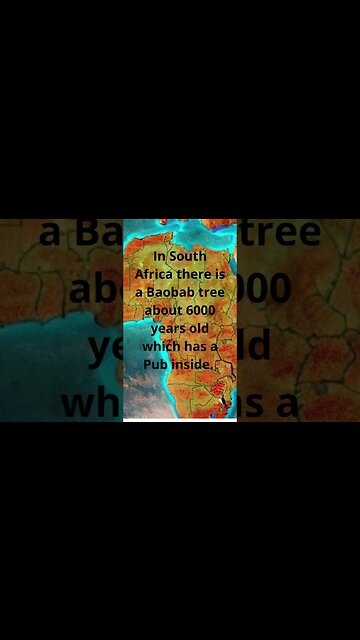 In South Africa there is a Baobab tree about 6000 years old which has a Pub inside #shorts
