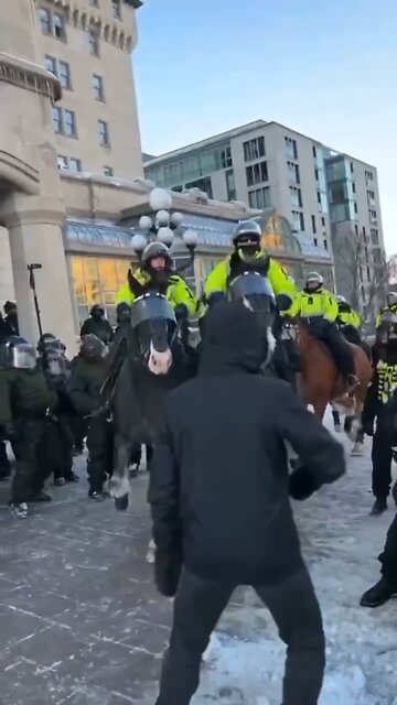 Ottawa Police Horses Trample Protestors