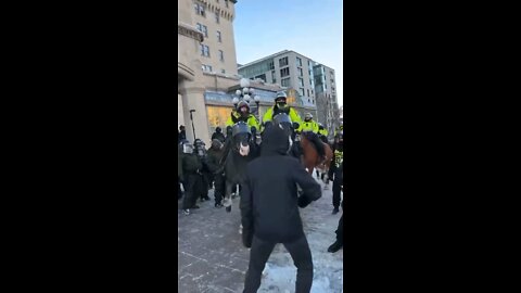 Ottawa Police Horses Trample Protestors
