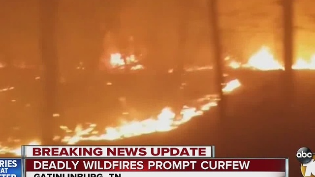 Deadly wildfires prompt curfew