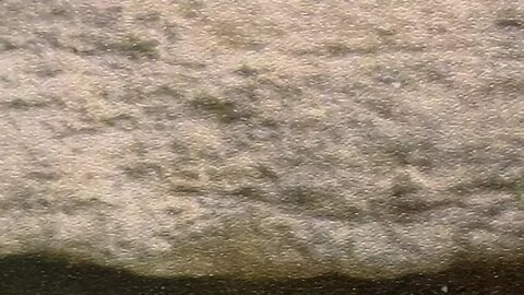 Prophetic word from the Lord:I AM taking my people higher and all will see it All will know my name