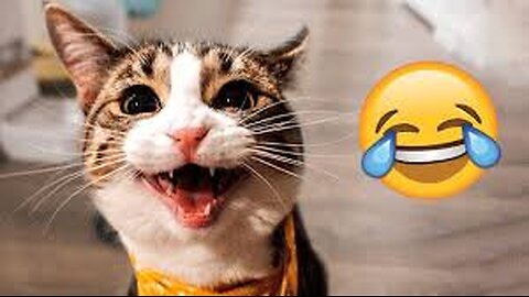 Restart if you laugh Challange #4