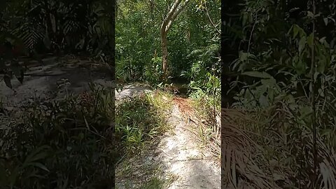 maravilha de Deus 🙏🙏