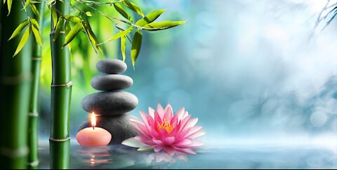 Relaxing Music 🌱