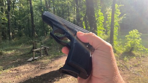Bersa Thunder .380 (lower coated with DuraBlue)