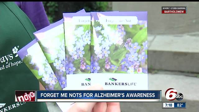 Volunteers hand out Forget Me Not seeds for their annual kickoff of Alzheimer's and brain awareness month