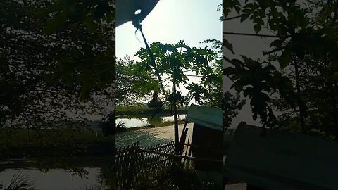 Panasnya cuaca di siang hari