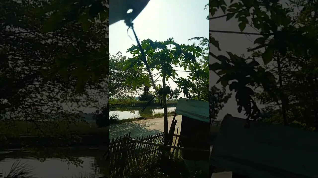 Panasnya cuaca di siang hari