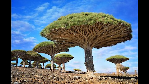 Most Truly Amazing Incredibly Surreal Places on Earth