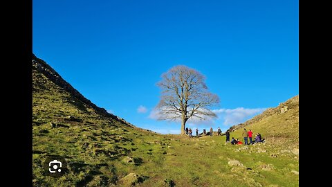 Destruction of Iconic Sycamore Gap Tree; Northumberland, UK; World-famousTree next to Hadrian’s Wall