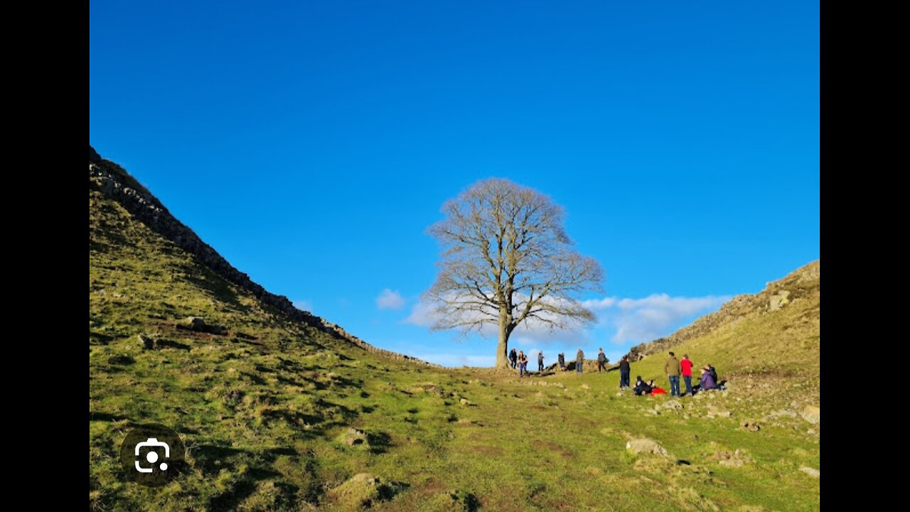 Destruction of Iconic Sycamore Gap Tree; Northumberland, UK; World-famousTree next to Hadrian’s Wall