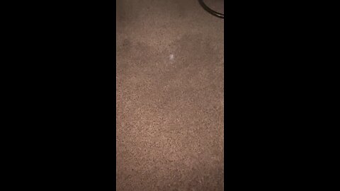 The Capable Glock 26