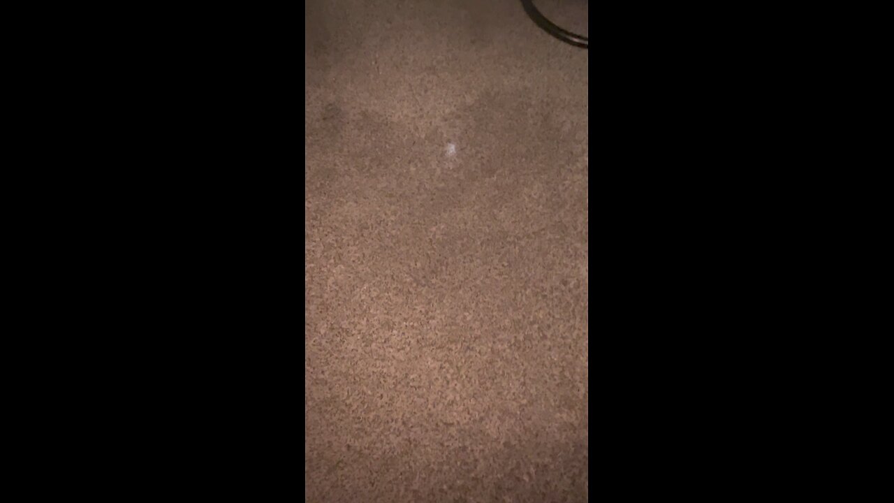 The Capable Glock 26