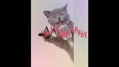 Cute cats singing!!