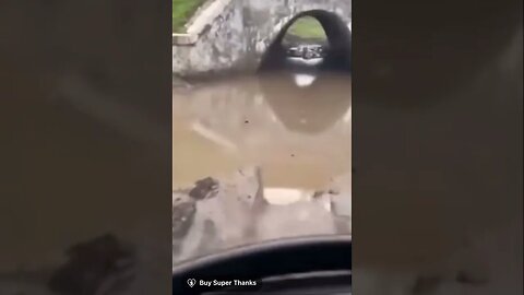 Ukrainian defenders #shorts