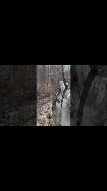 OMG WHAT IS THAT!!! Look Closely and comment below!