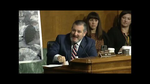 Sen. Cruz Demands Accountability From Sec. Mayorkas on Biden Border Crisis