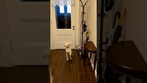 When you hear the magic word... #FridayFeeling