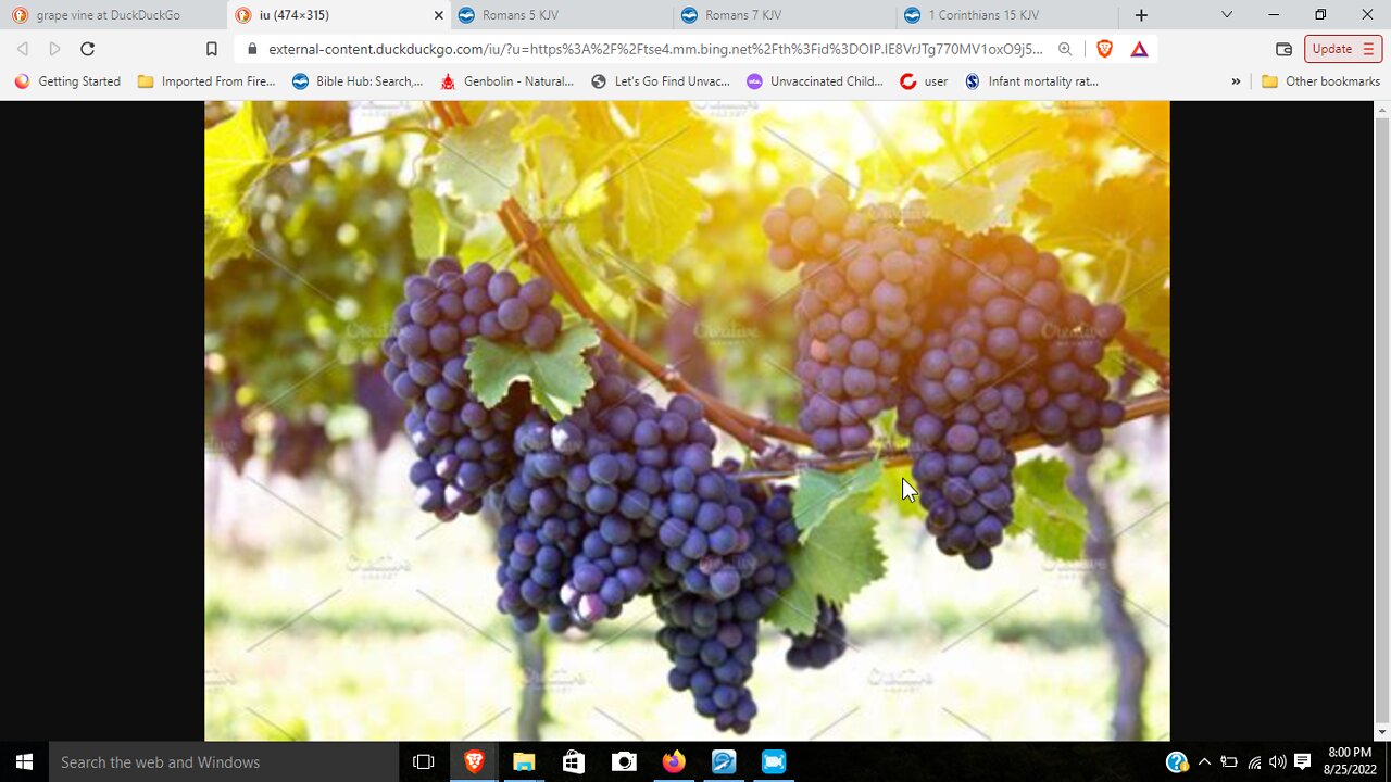 Original sin is a satanic doctrine