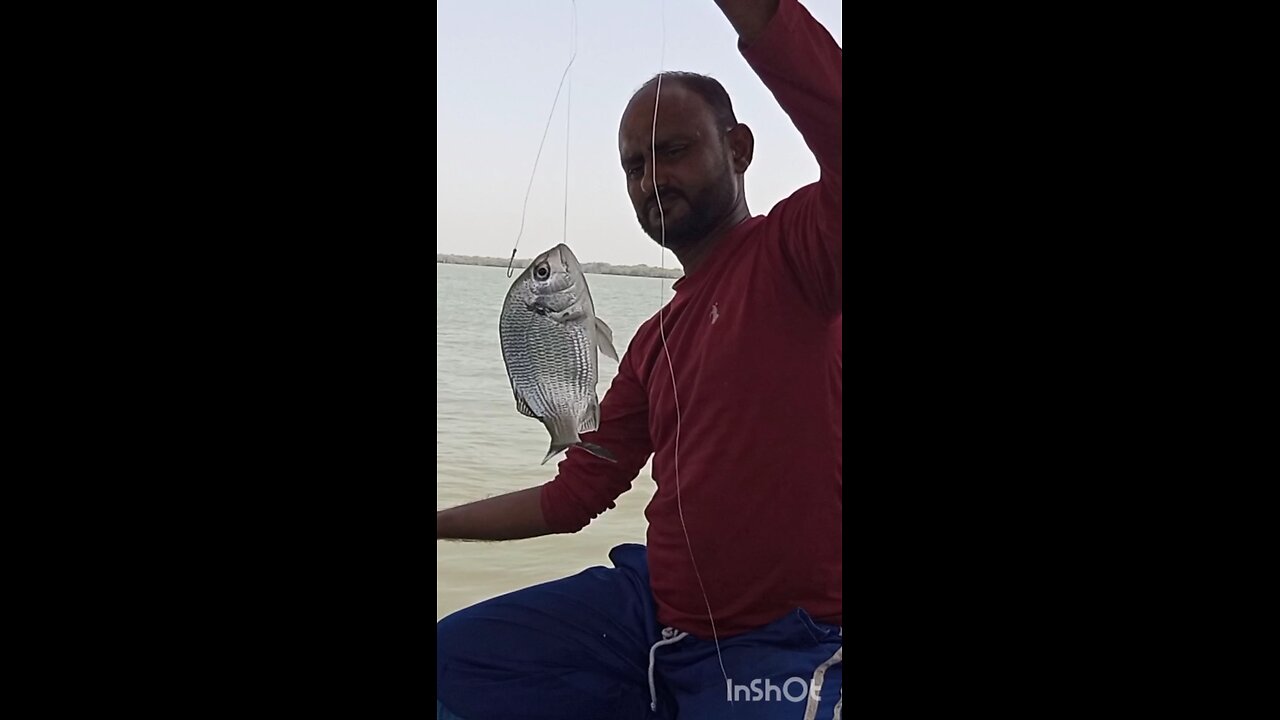 mangrove fishing Rahri goht nice fishing